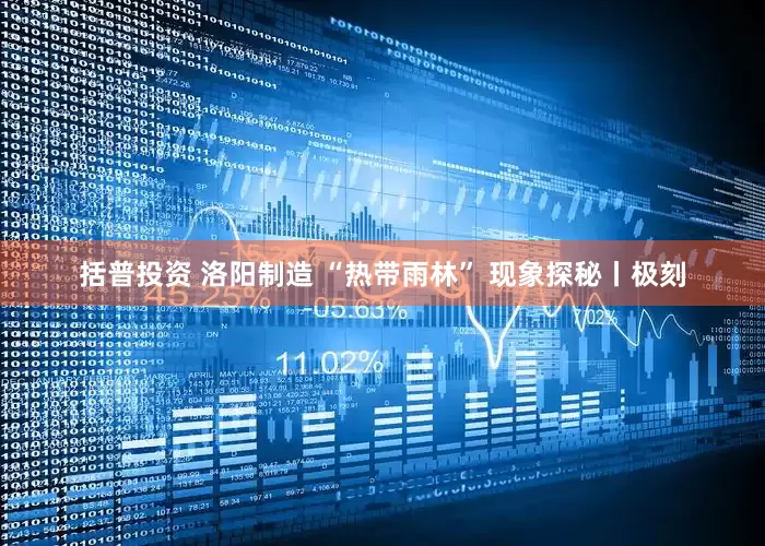 括普投资 洛阳制造 “热带雨林” 现象探秘丨极刻