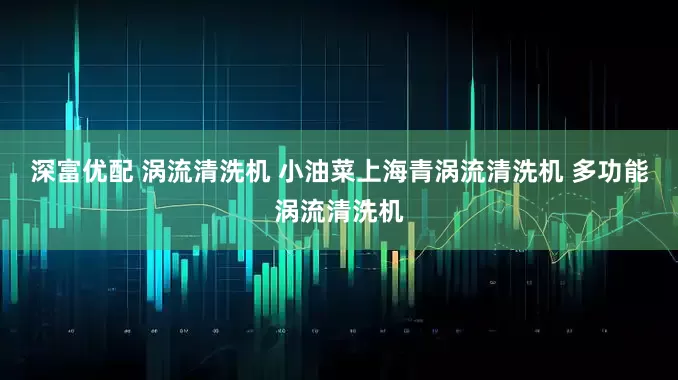 深富优配 涡流清洗机 小油菜上海青涡流清洗机 多功能涡流清洗机